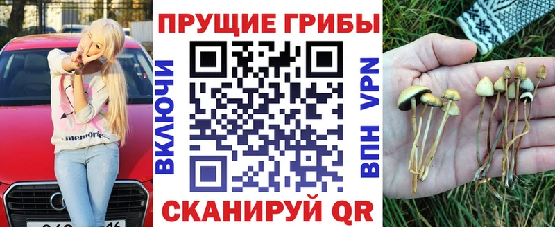 Галлюциногенные грибы мухоморы hydra как войти Меленки